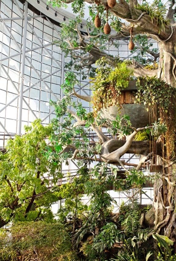 Green Planet1 | About Us