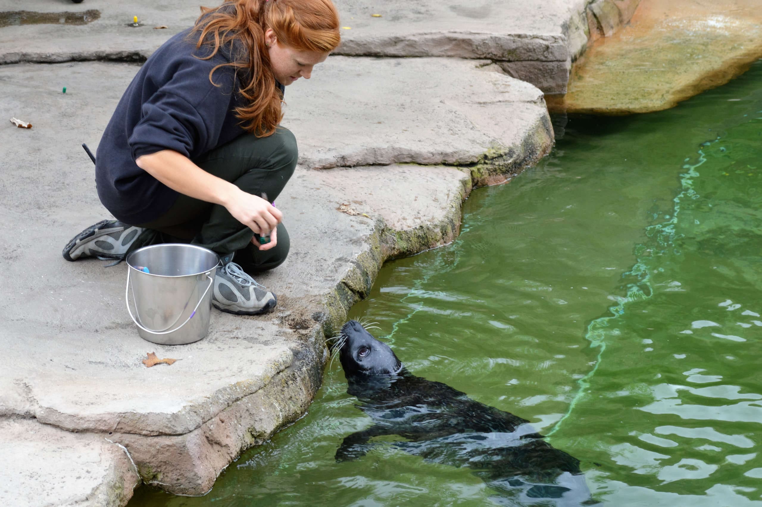 shutterstock 486709807 1 scaled 1 | Best Aquarium Consultant
