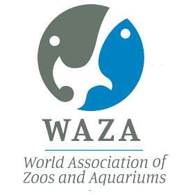 waza logo new WORLDWIDE ZOO CONSULTANTS waza-logo-new
