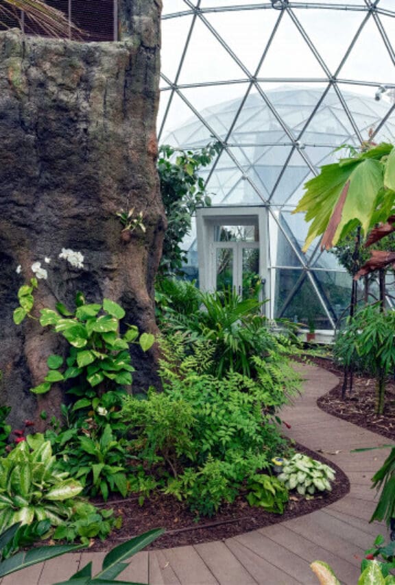 9a1889c6bb9a | About Us